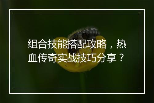 组合技能搭配攻略，热血传奇实战技巧分享？