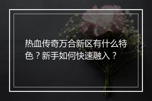 热血传奇万合新区有什么特色？新手如何快速融入？