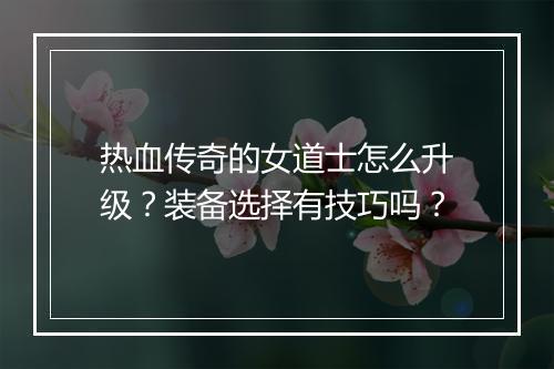 热血传奇的女道士怎么升级？装备选择有技巧吗？