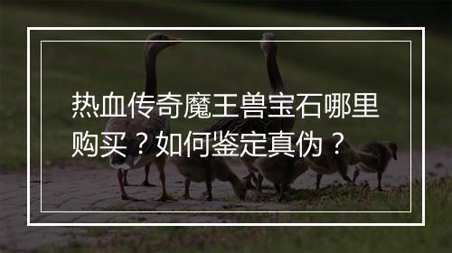 热血传奇魔王兽宝石哪里购买？如何鉴定真伪？