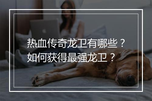 热血传奇龙卫有哪些？如何获得最强龙卫？