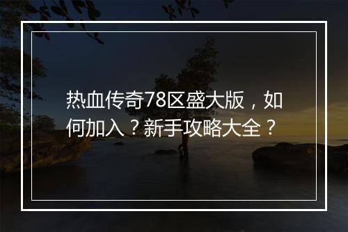 热血传奇78区盛大版，如何加入？新手攻略大全？