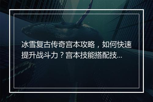 冰雪复古传奇宫本攻略，如何快速提升战斗力？宫本技能搭配技巧揭秘！