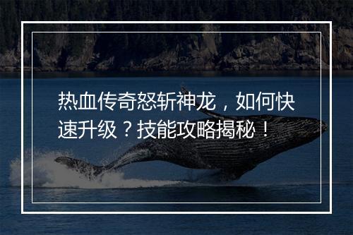 热血传奇怒斩神龙，如何快速升级？技能攻略揭秘！