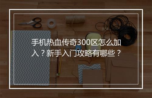 手机热血传奇300区怎么加入？新手入门攻略有哪些？