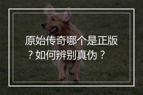 原始传奇哪个是正版？如何辨别真伪？
