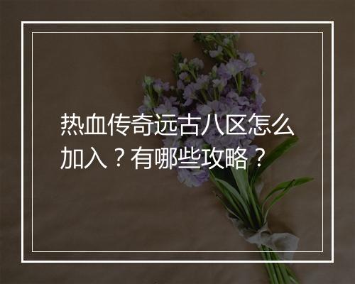 热血传奇远古八区怎么加入？有哪些攻略？
