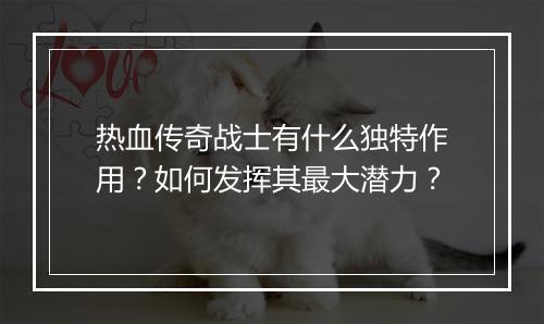 热血传奇战士有什么独特作用？如何发挥其最大潜力？