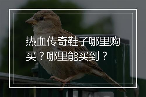 热血传奇鞋子哪里购买？哪里能买到？