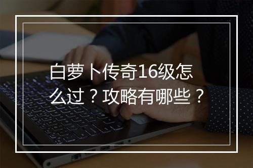 白萝卜传奇16级怎么过？攻略有哪些？