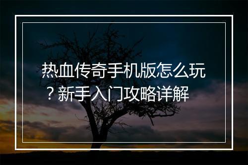 热血传奇手机版怎么玩？新手入门攻略详解