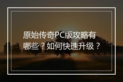 原始传奇PC版攻略有哪些？如何快速升级？