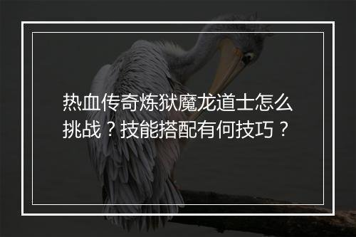 热血传奇炼狱魔龙道士怎么挑战？技能搭配有何技巧？