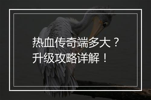 热血传奇端多大？升级攻略详解！