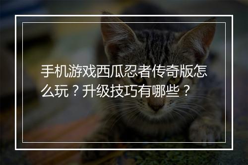 手机游戏西瓜忍者传奇版怎么玩？升级技巧有哪些？
