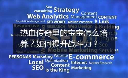 热血传奇里的宝宝怎么培养？如何提升战斗力？