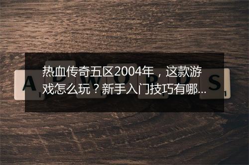 热血传奇五区2004年，这款游戏怎么玩？新手入门技巧有哪些？