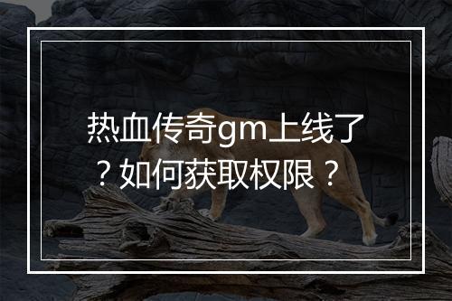 热血传奇gm上线了？如何获取权限？