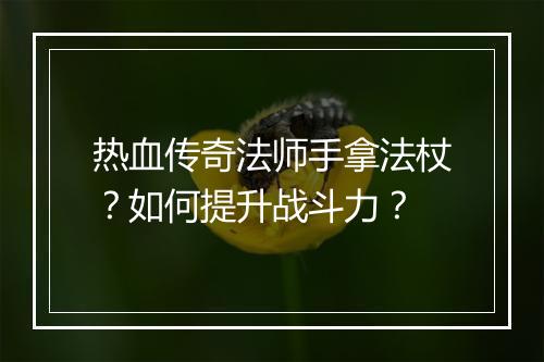 热血传奇法师手拿法杖？如何提升战斗力？