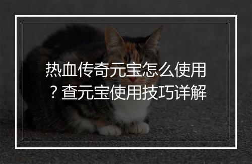 热血传奇元宝怎么使用？查元宝使用技巧详解