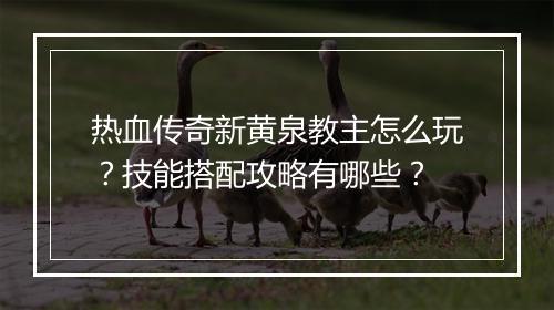 热血传奇新黄泉教主怎么玩？技能搭配攻略有哪些？