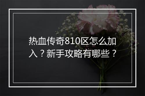 热血传奇810区怎么加入？新手攻略有哪些？