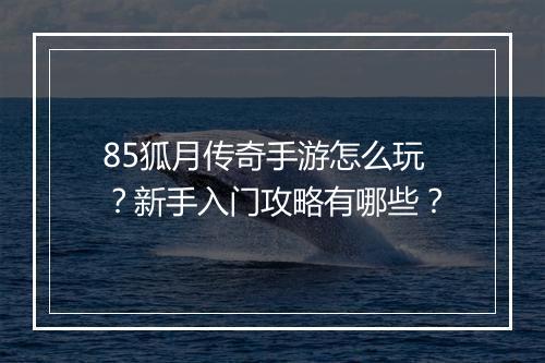 85狐月传奇手游怎么玩？新手入门攻略有哪些？
