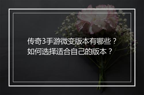 传奇3手游微变版本有哪些？如何选择适合自己的版本？