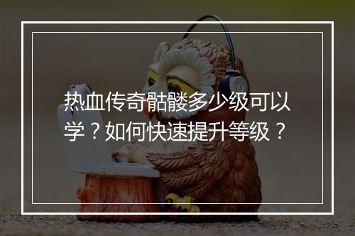 热血传奇骷髅多少级可以学？如何快速提升等级？