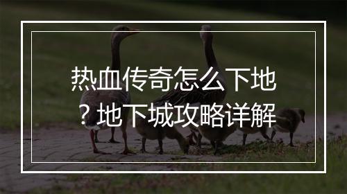 热血传奇怎么下地？地下城攻略详解