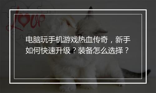 电脑玩手机游戏热血传奇，新手如何快速升级？装备怎么选择？
