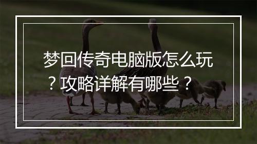 梦回传奇电脑版怎么玩？攻略详解有哪些？