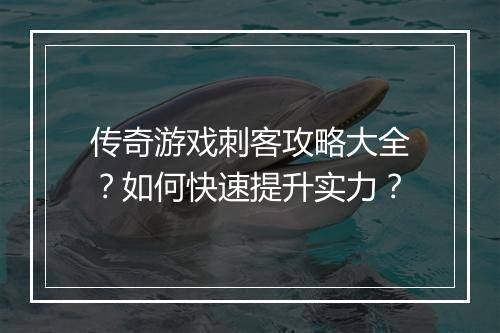 传奇游戏刺客攻略大全？如何快速提升实力？