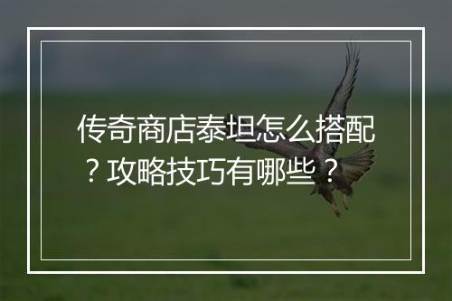 传奇商店泰坦怎么搭配？攻略技巧有哪些？