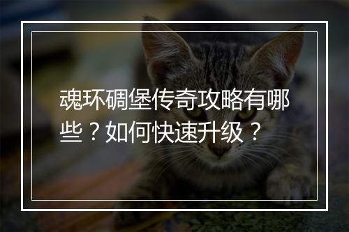 魂环碉堡传奇攻略有哪些？如何快速升级？