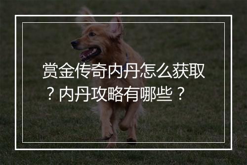 赏金传奇内丹怎么获取？内丹攻略有哪些？