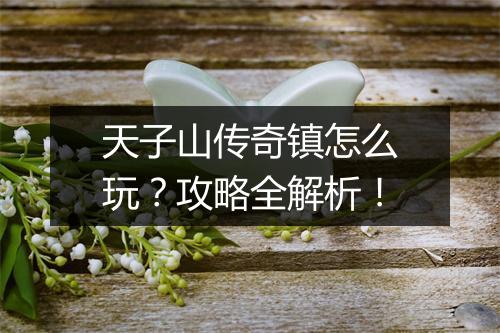 天子山传奇镇怎么玩？攻略全解析！