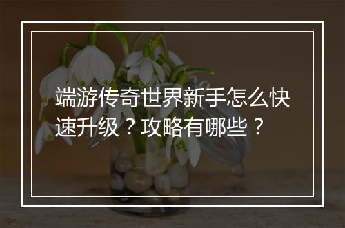 端游传奇世界新手怎么快速升级？攻略有哪些？