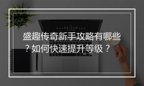 盛趣传奇新手攻略有哪些？如何快速提升等级？