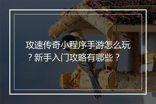 攻速传奇小程序手游怎么玩？新手入门攻略有哪些？