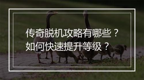 传奇脱机攻略有哪些？如何快速提升等级？