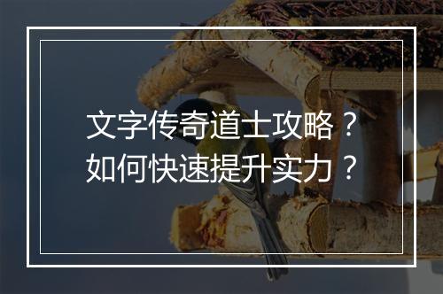文字传奇道士攻略？如何快速提升实力？
