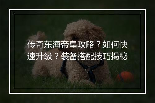 传奇东海帝皇攻略？如何快速升级？装备搭配技巧揭秘