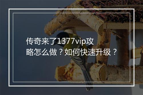传奇来了1377vip攻略怎么做？如何快速升级？