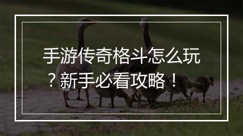 手游传奇格斗怎么玩？新手必看攻略！