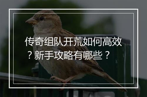 传奇组队开荒如何高效？新手攻略有哪些？