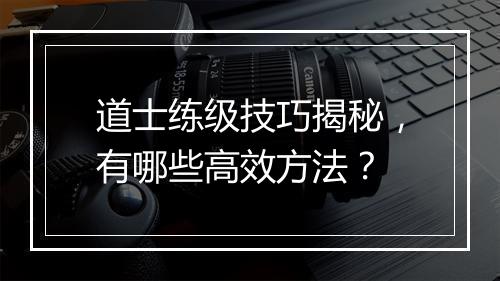 道士练级技巧揭秘，有哪些高效方法？
