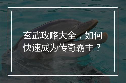 玄武攻略大全，如何快速成为传奇霸主？
