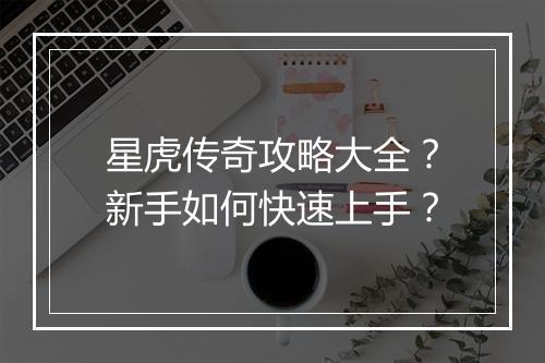 星虎传奇攻略大全？新手如何快速上手？