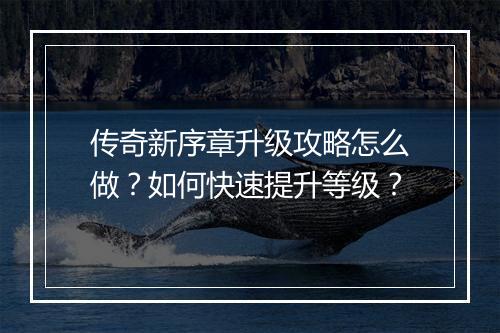 传奇新序章升级攻略怎么做？如何快速提升等级？